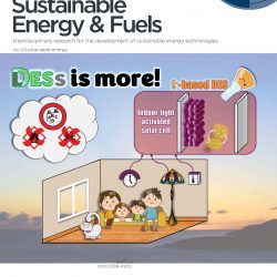 Il centro Mib-solar sulla copertina di Sustainable Energy & Fuels con celle per uso indoor